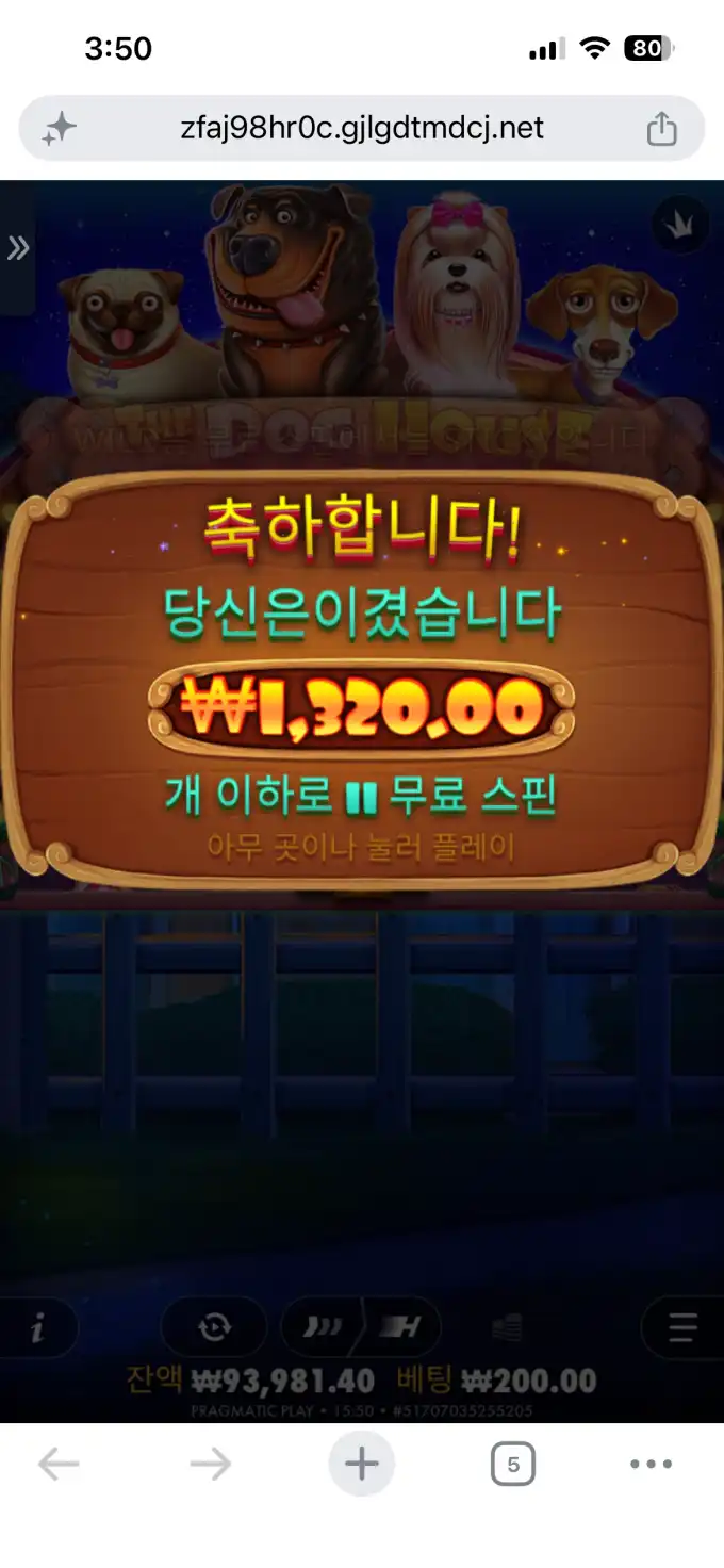 슬롯 슬롯 당첨내역 이미지 슬롯머신후기 온라인슬롯추천